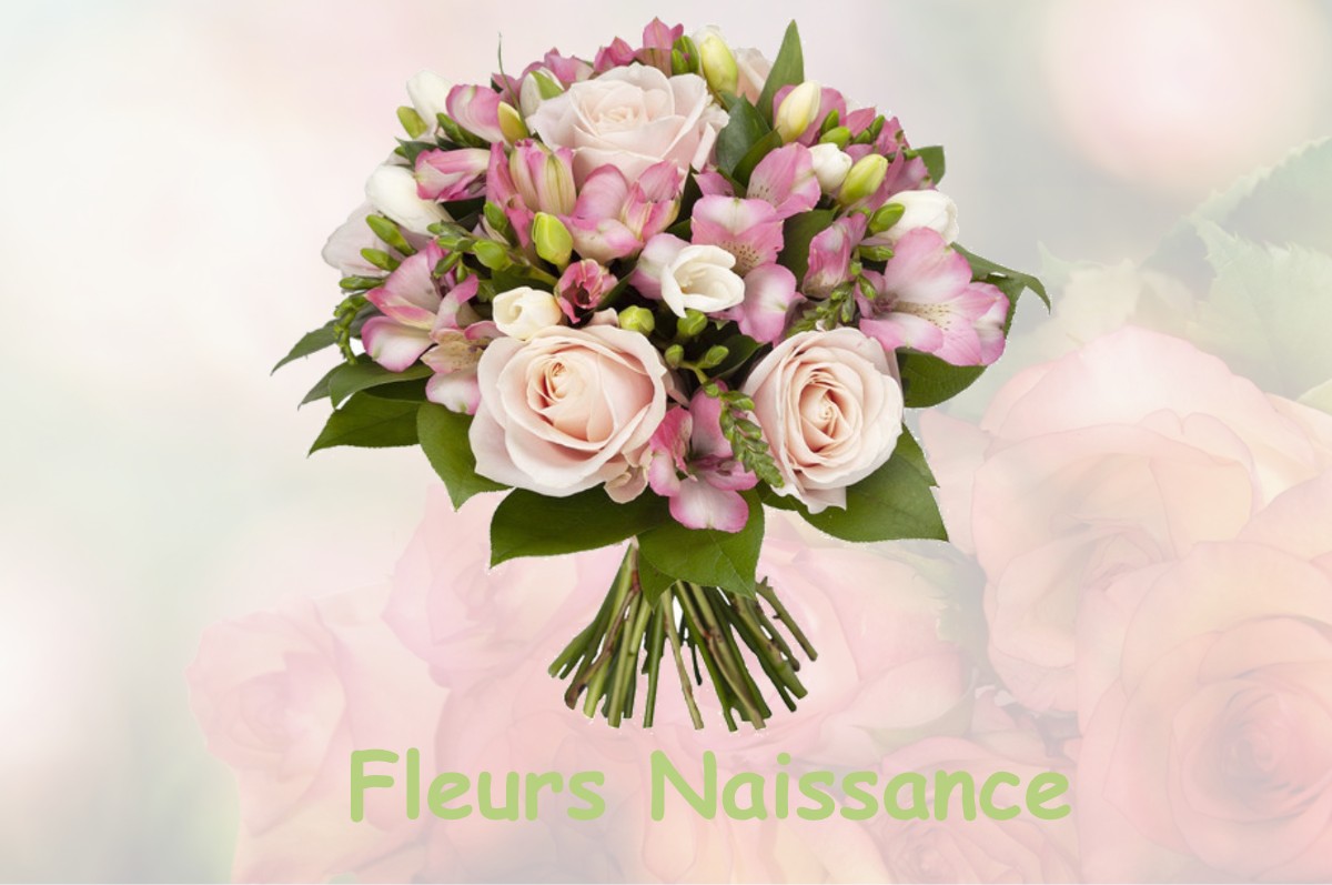 fleurs naissance HUISSEAU-SUR-COSSON